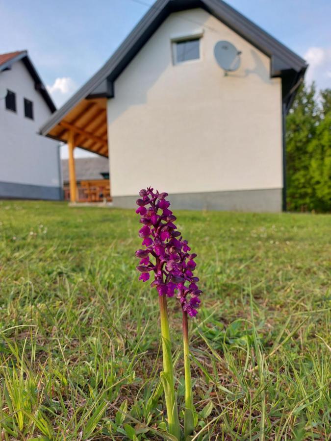 Apartment Rosie Смолянац Экстерьер фото